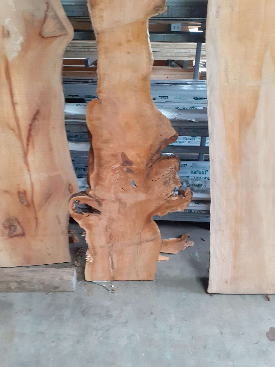 Breed plataan boomstamblad voor 25 euro