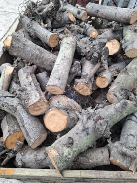 Droog openhaardhout appel