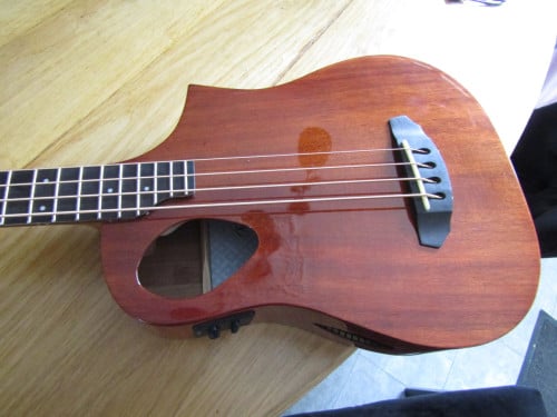 Semi akoestische basgitaar michael kelly travel