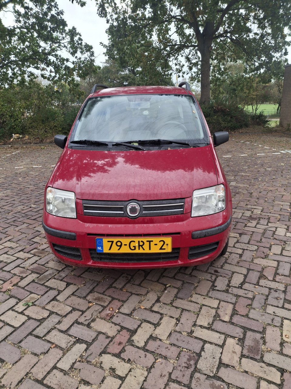 Fiat panda