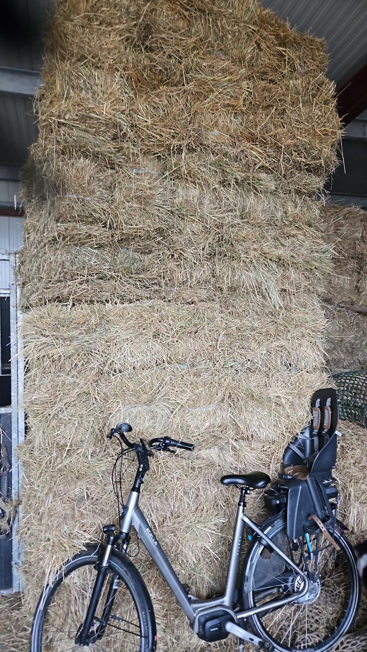Weidehooi/stro/wikkelbalen