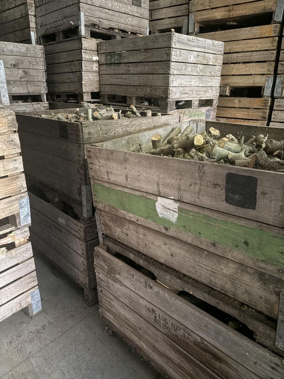 Te koop appel hout