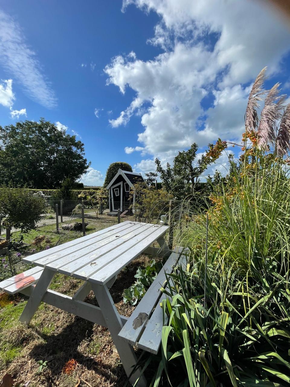 Picknicktafel. GRATIS