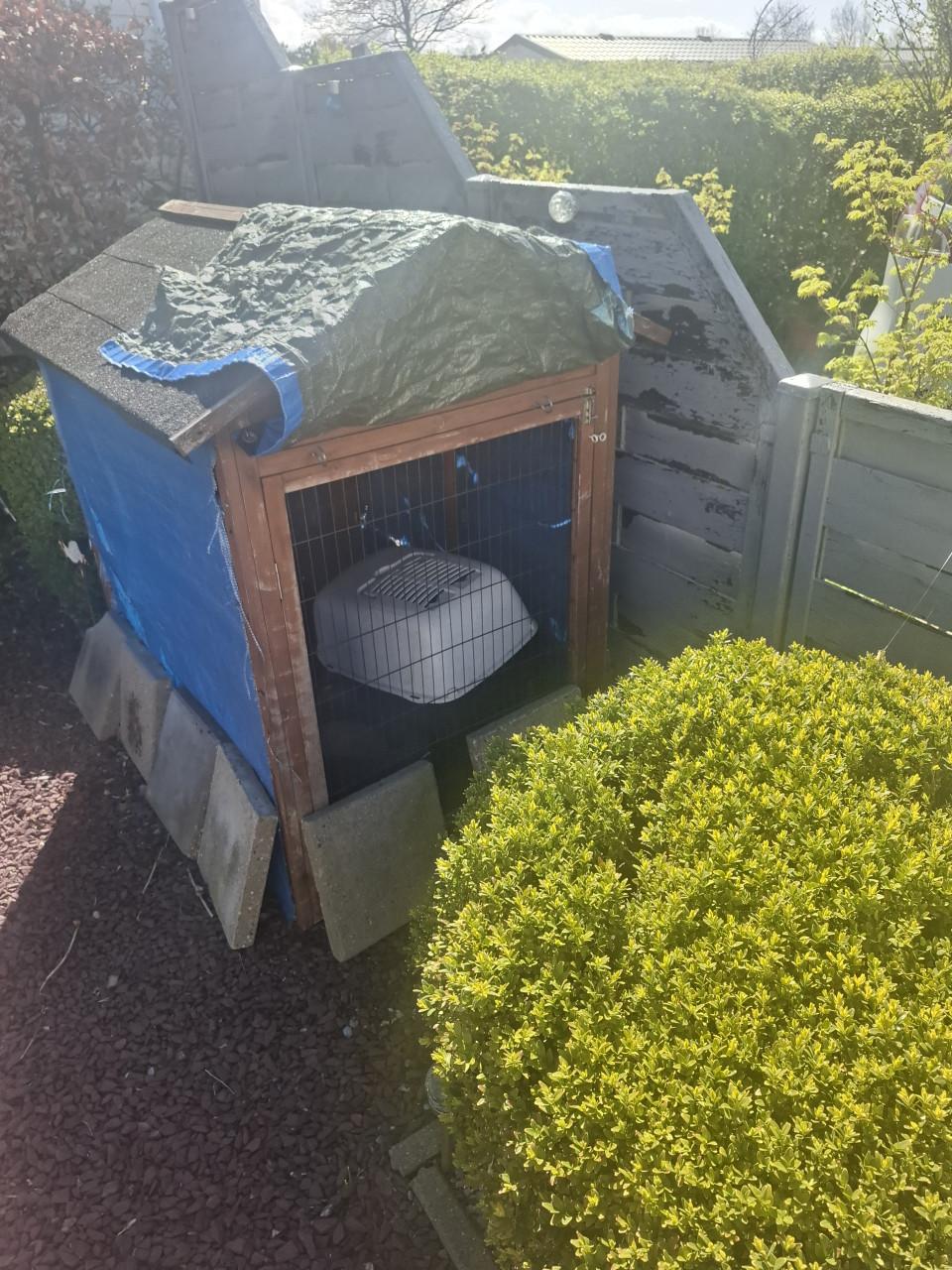 Dierenhok kattenren of ander huisdier plus kattenhuis