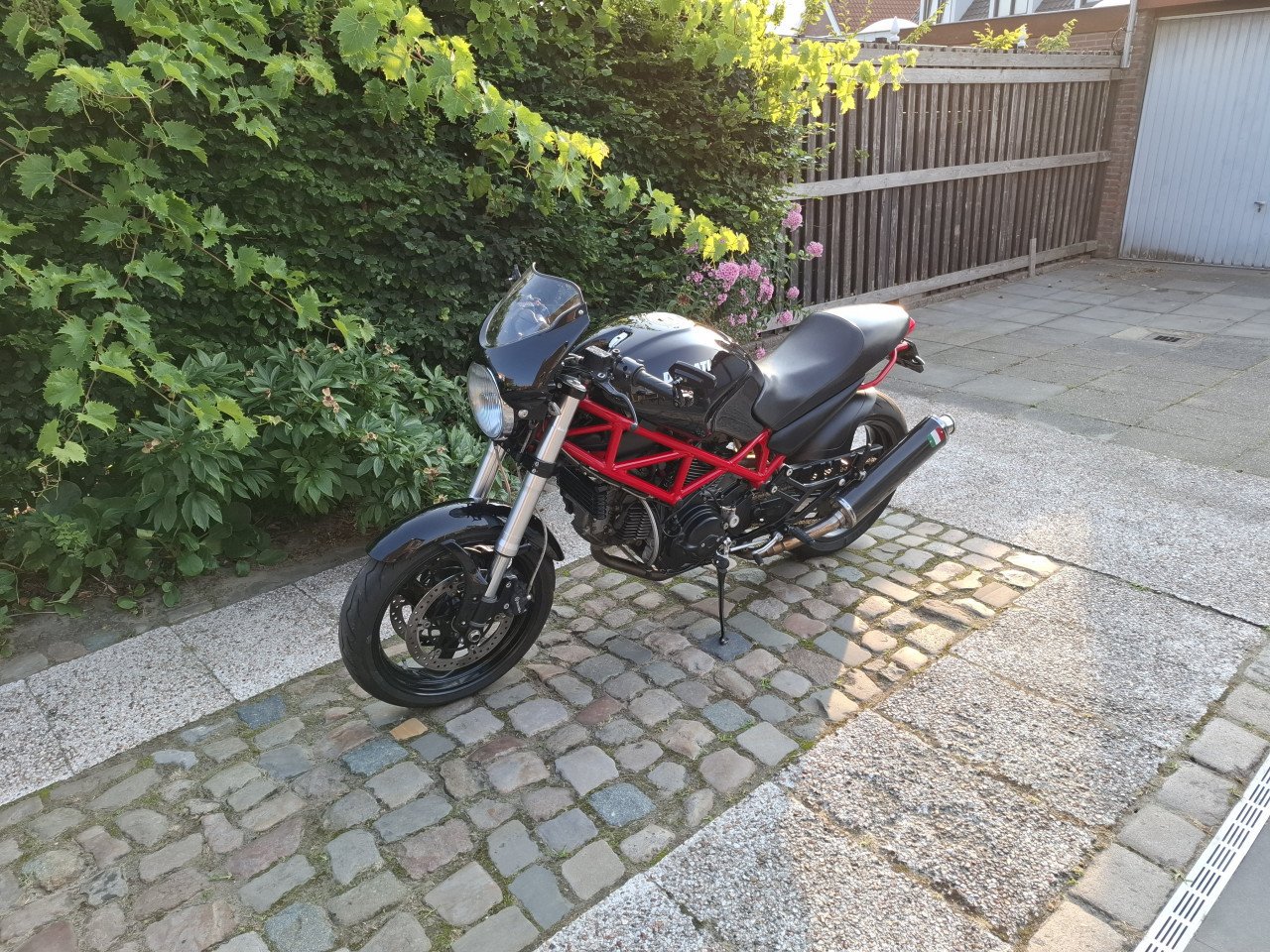 Ducati monster 695