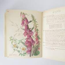 Te koop; boek vreugde van het landleven anno 1906 vogels planten