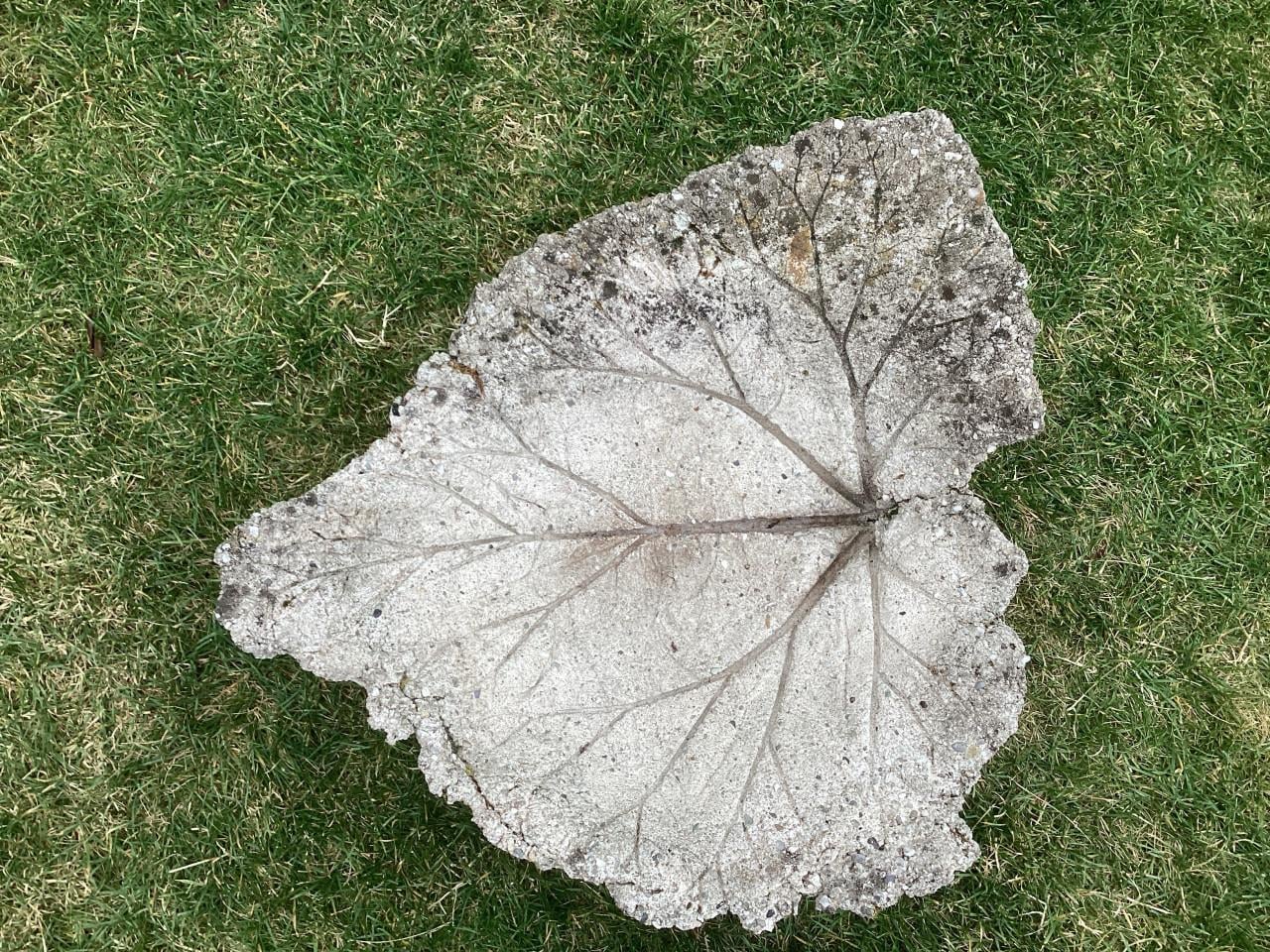 Decoratief betonnen rabarberblad