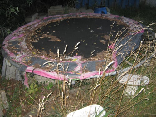 Trampoline