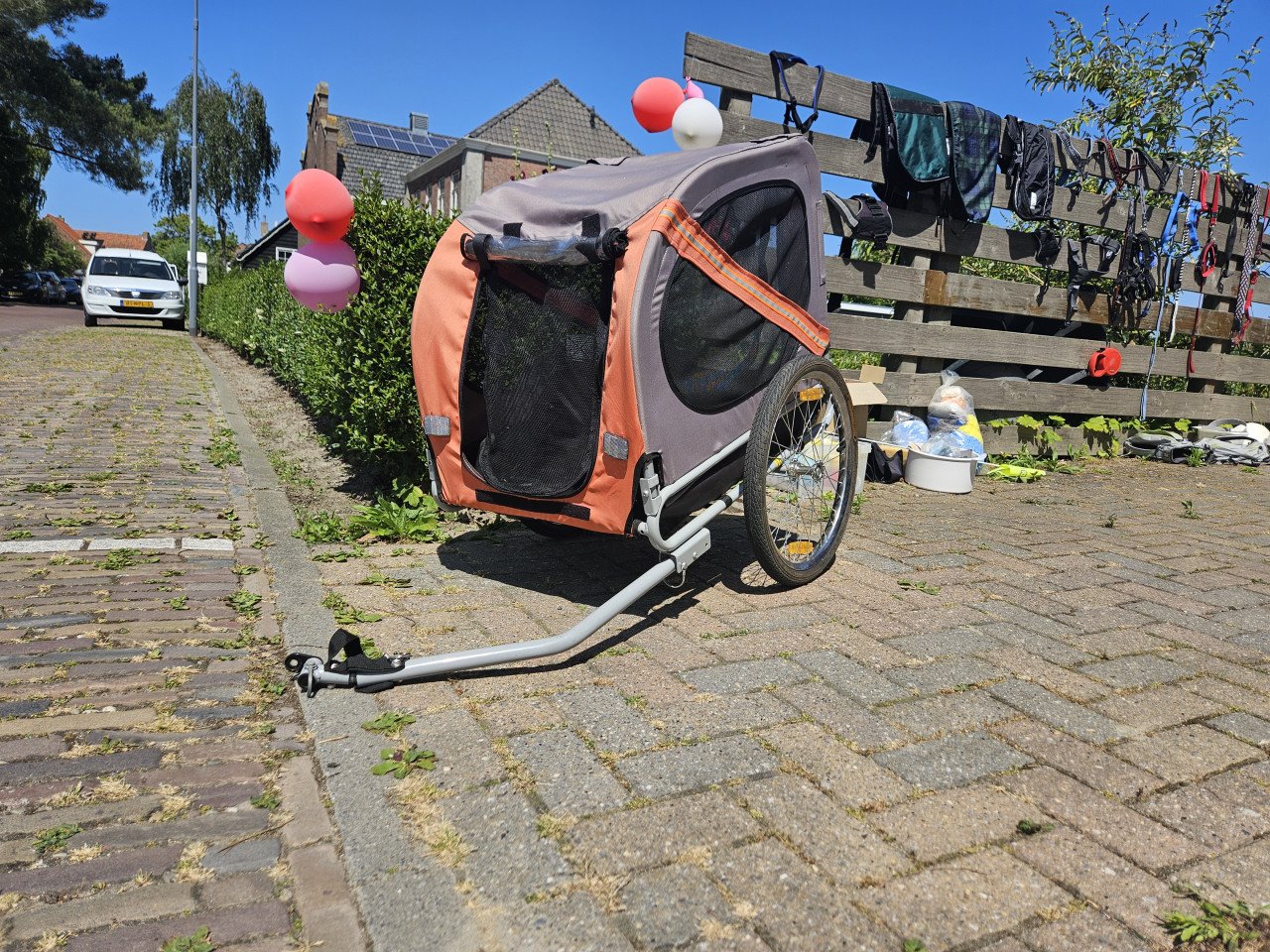 Honden fietskar