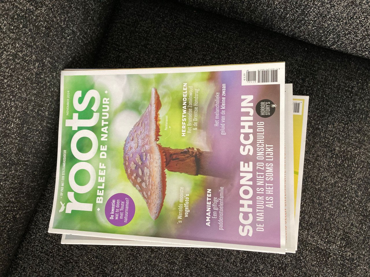 Gratis Roots maandblad 17x