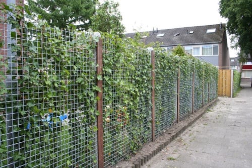 Diverse soorten gaaspanelen. Leverbaar vanaf €14,97.