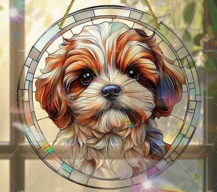 Raamhanger Shih tzu - boomer hondje