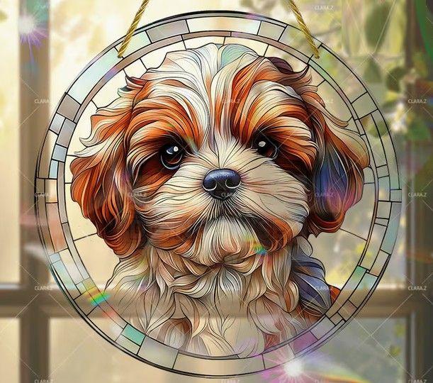 Raamhanger Shih tzu - boomer hondje