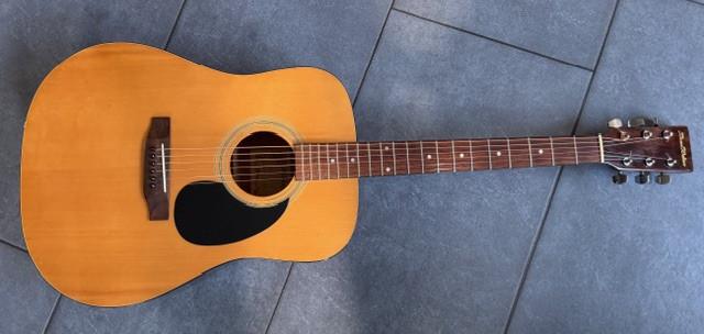 Voordelige country gitaar, leuk om mee te beginnen of ...