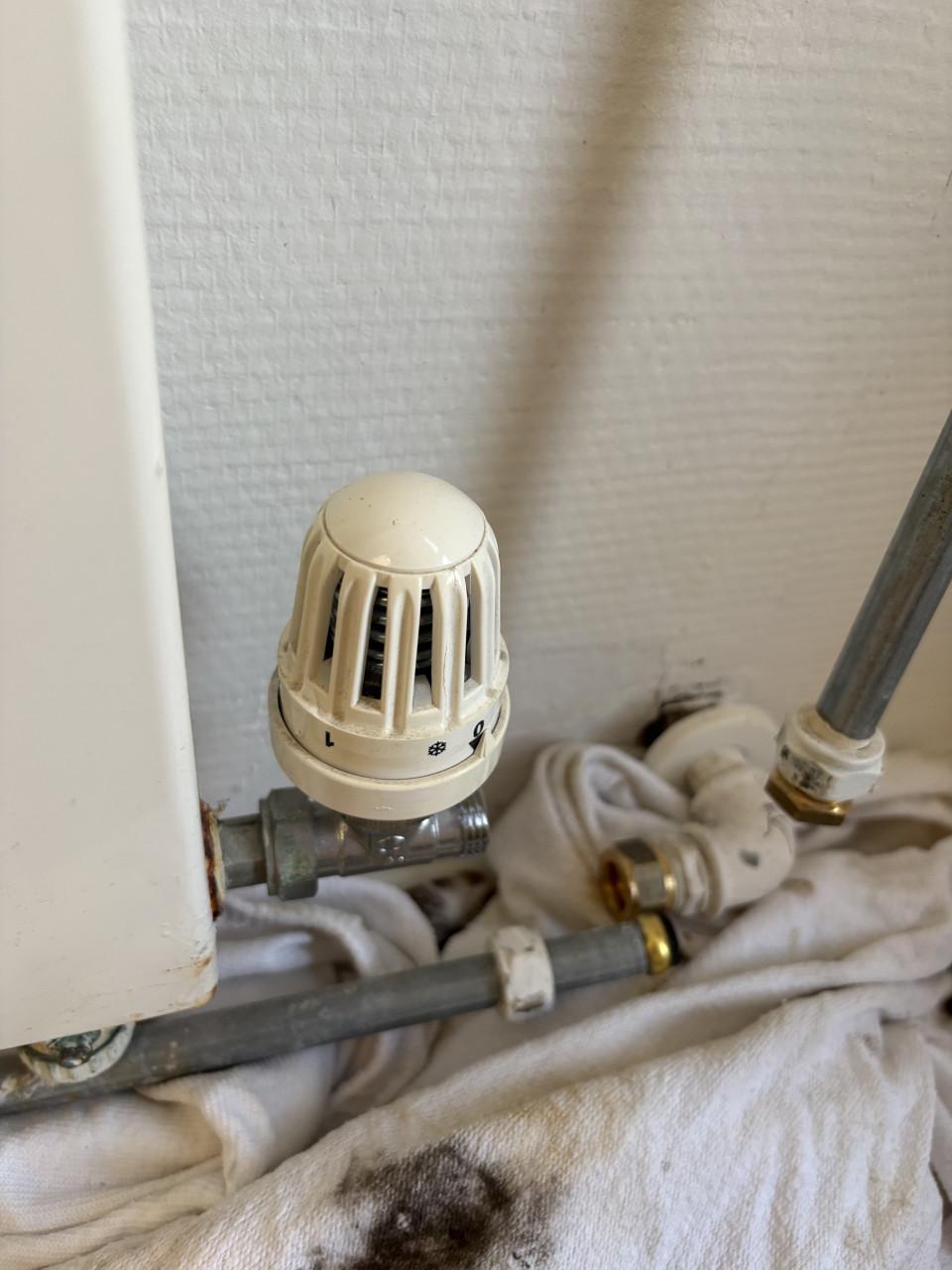 Radiator