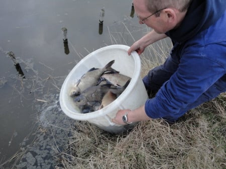 Hengelsport in de polder bij Karpervisserij Koudekerke € 17,50