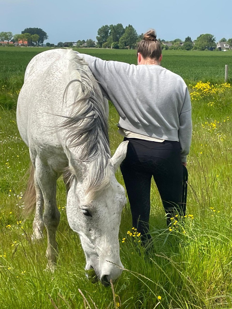 Grote PRE ruin te koop
