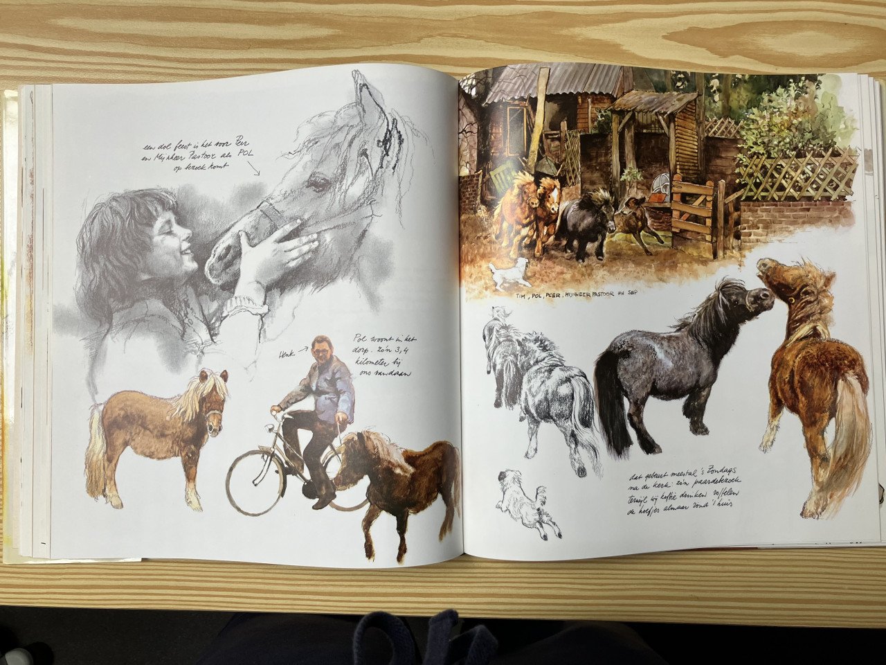 Boeken over paarden