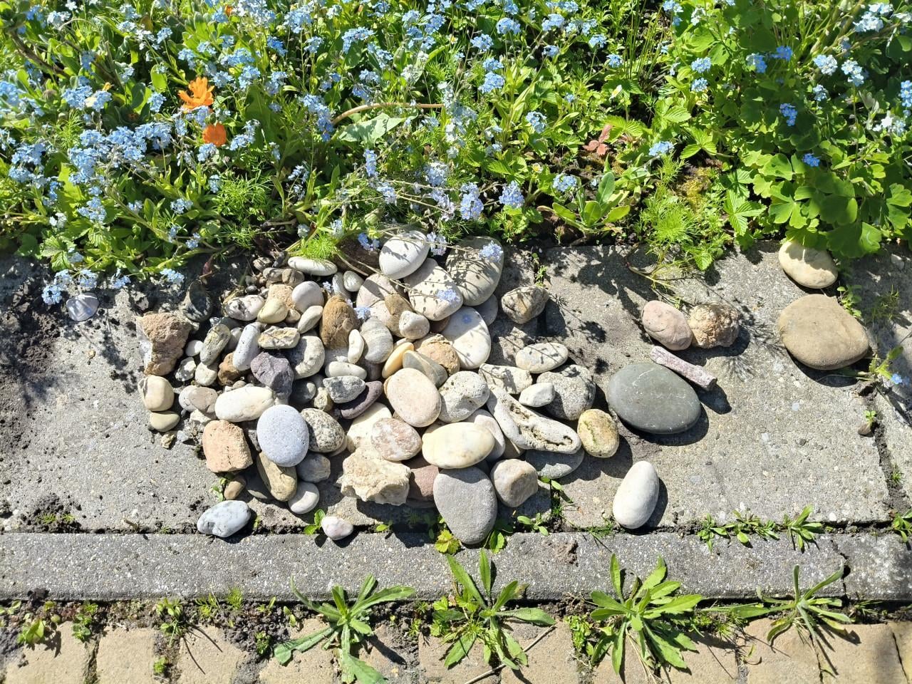 Schelpen en/of stenen