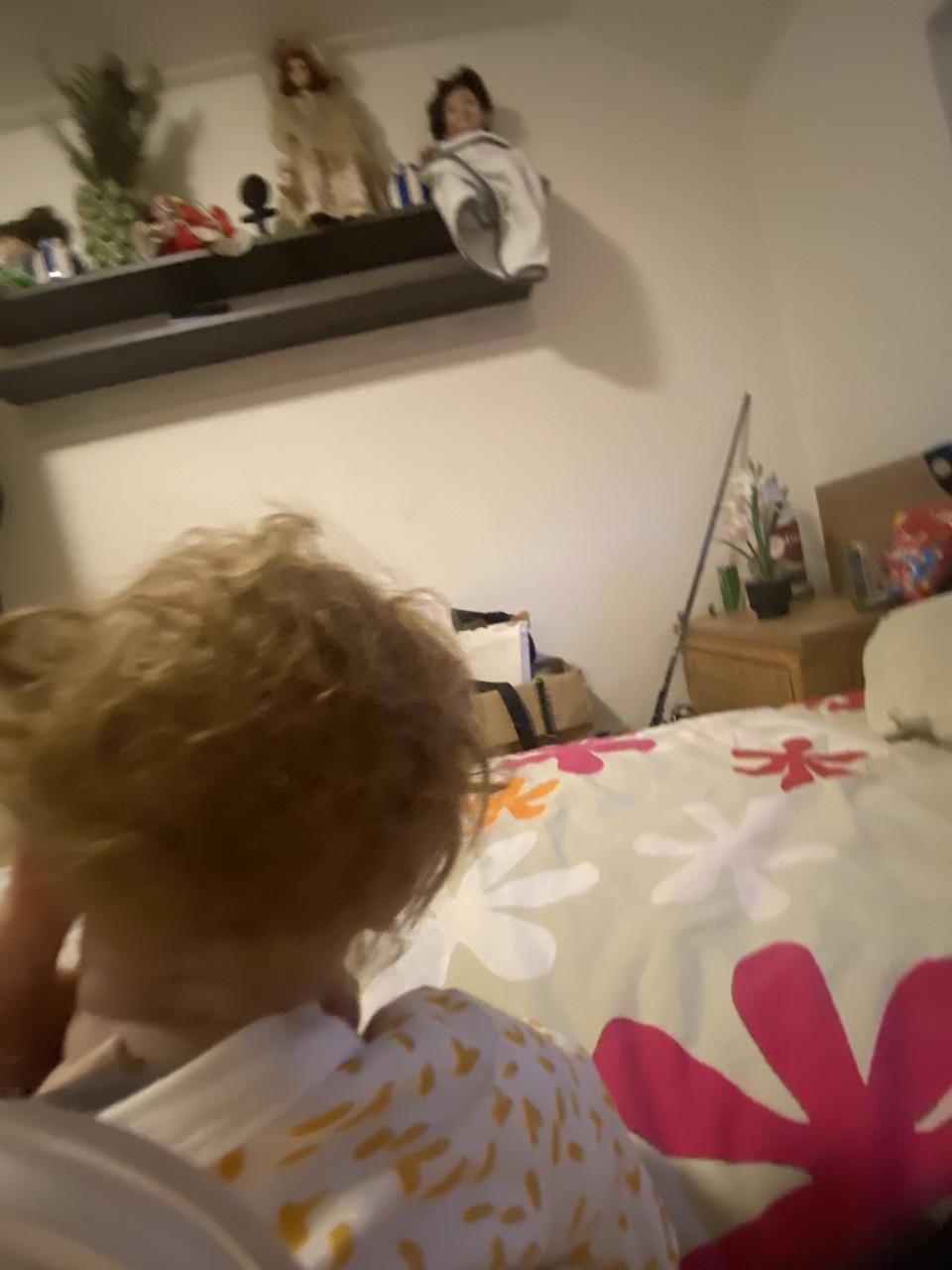 30 reborns voor 500euro