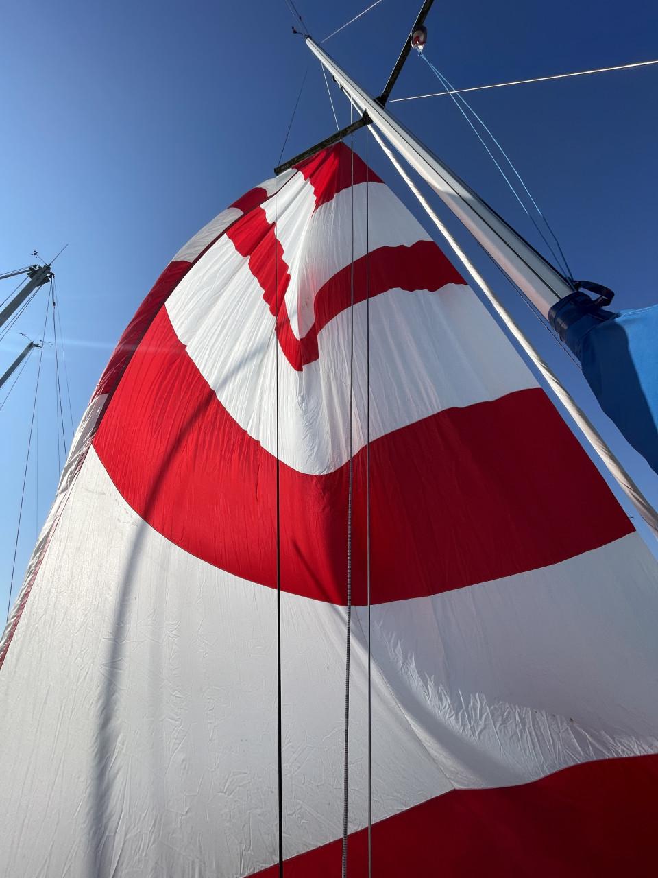 Diverse spinnakers, gennaker en genua