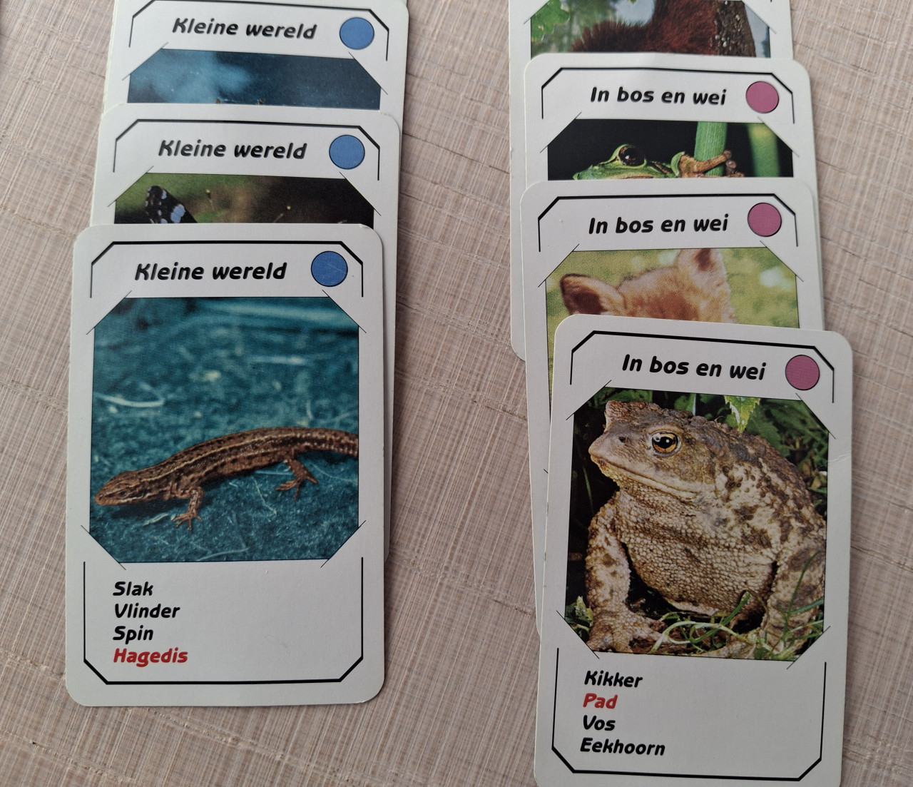 Jonge dieren kwartet