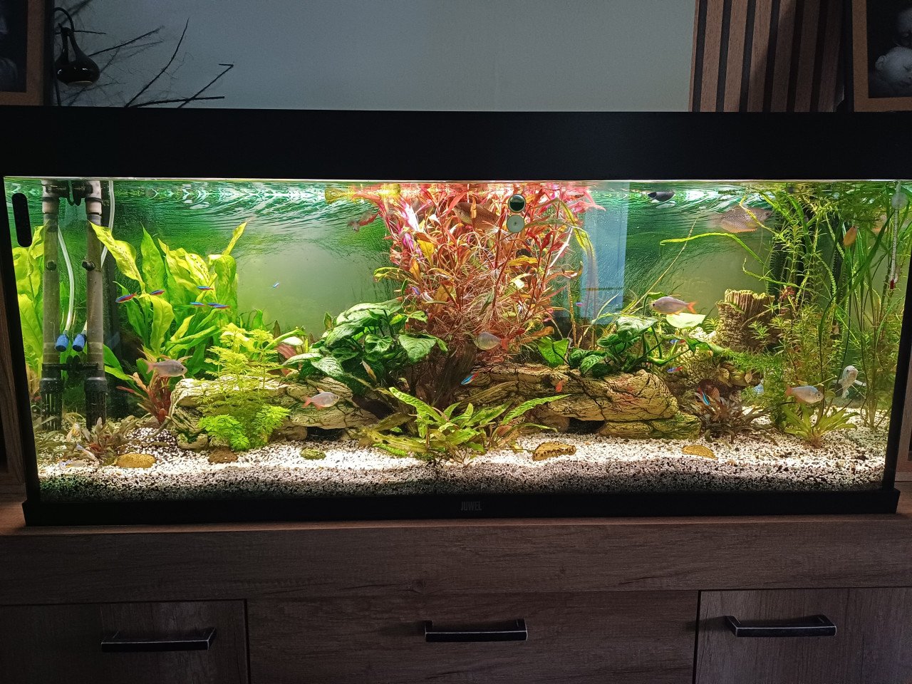 Geheel compleet draaiend Aquarium met garantie bonnen