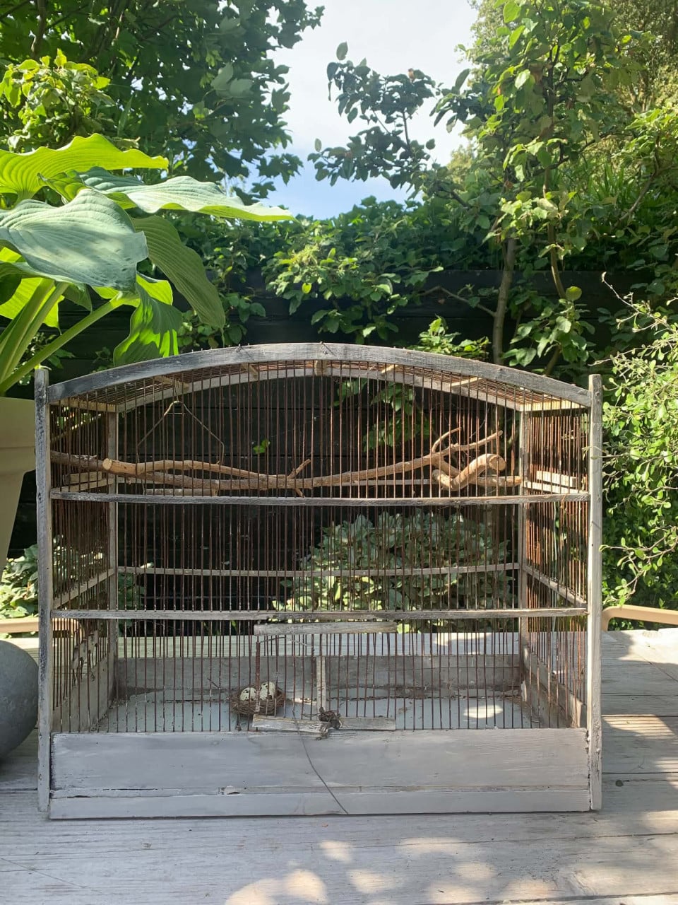 Vogelkooi
