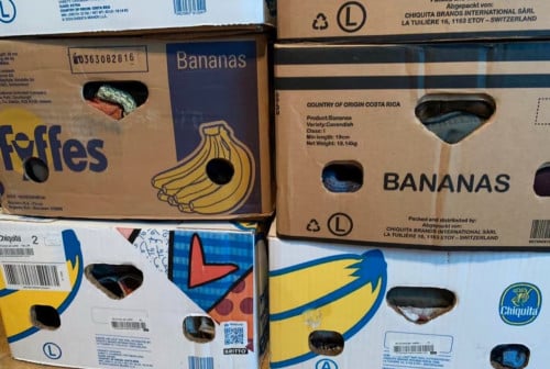 Opkoper gezocht, dozen vol dames EN kinder kleding!