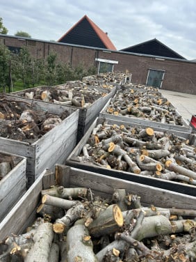 Haardhout