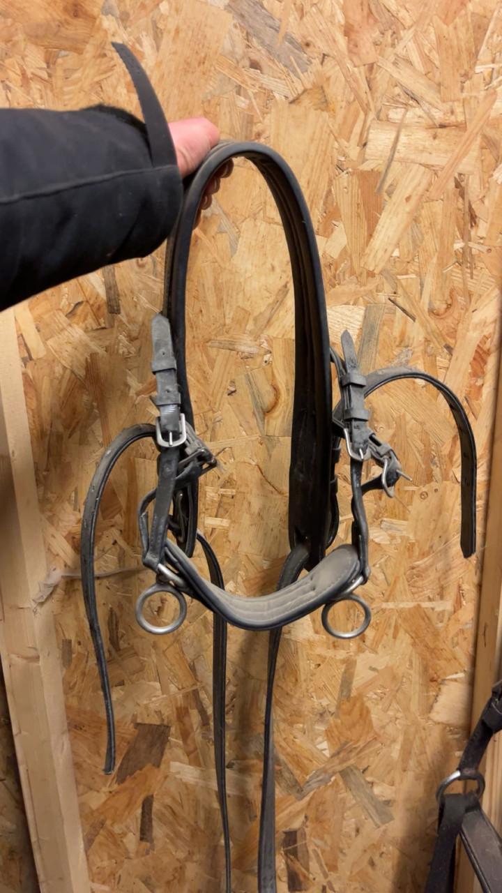 Mini shetlander tuig