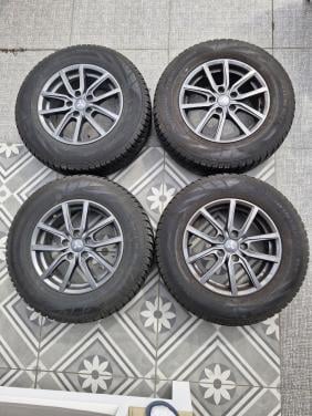 Mitsubishi outlander winterset