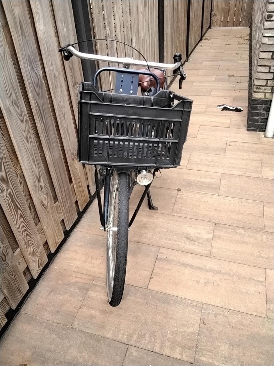 Meisjes fiets