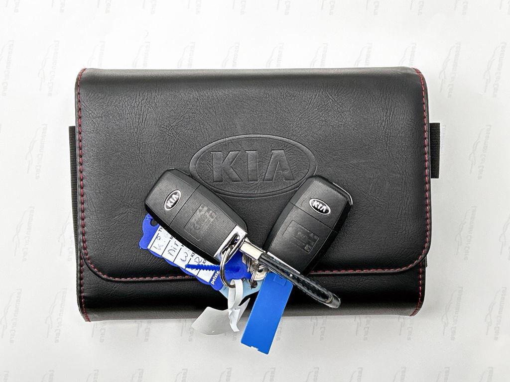 Kia Niro 1.6 gdi hybrid edition | automaat | schuif-/kanteldak | apple carp