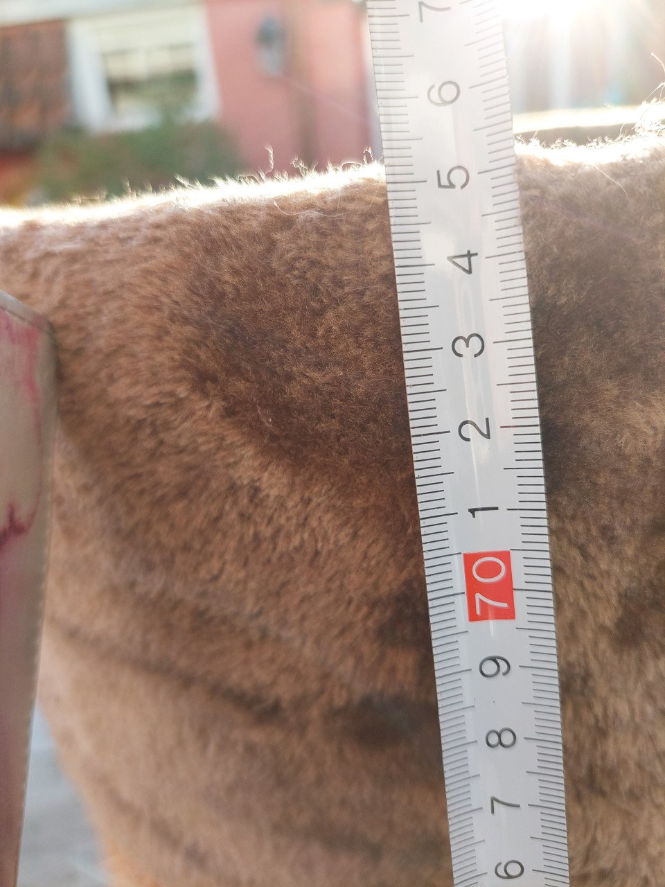Kattenkrabton camelkleur &kattenkrabtrapje beige