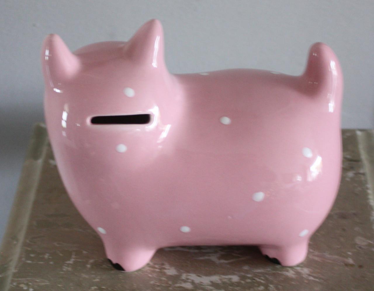 Roze stenen poezen spaarpot