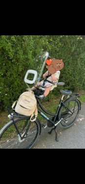 Mooie dames fiets met zitje