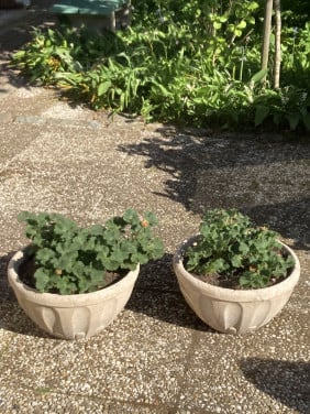 2 plantenschalen