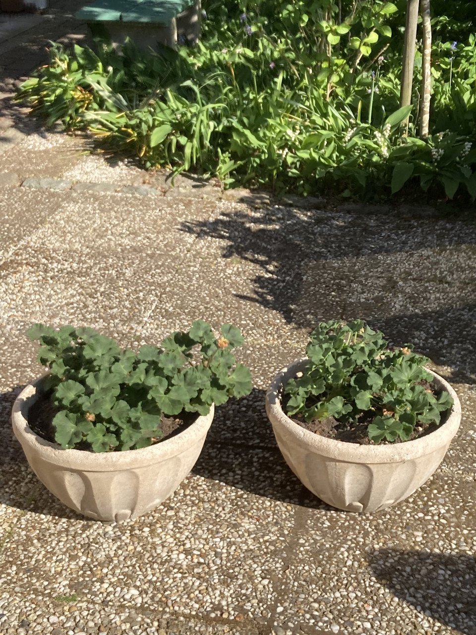 2 plantenschalen
