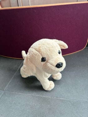 Babyborn hond