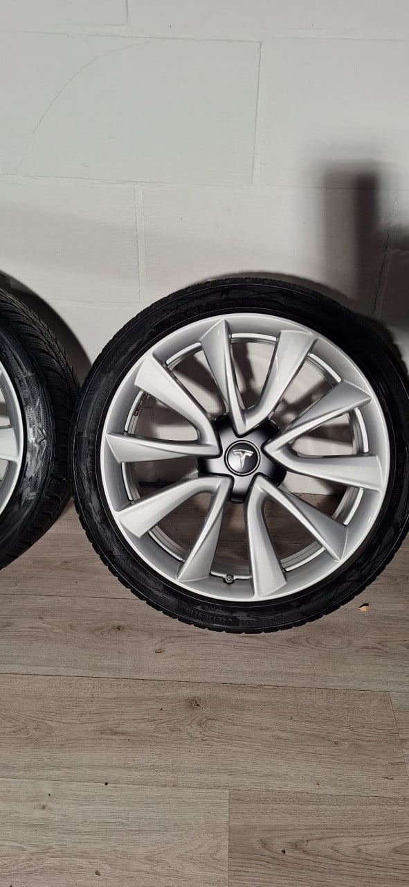 19'' Originele Performance Tesla Model 3 velgen + banden