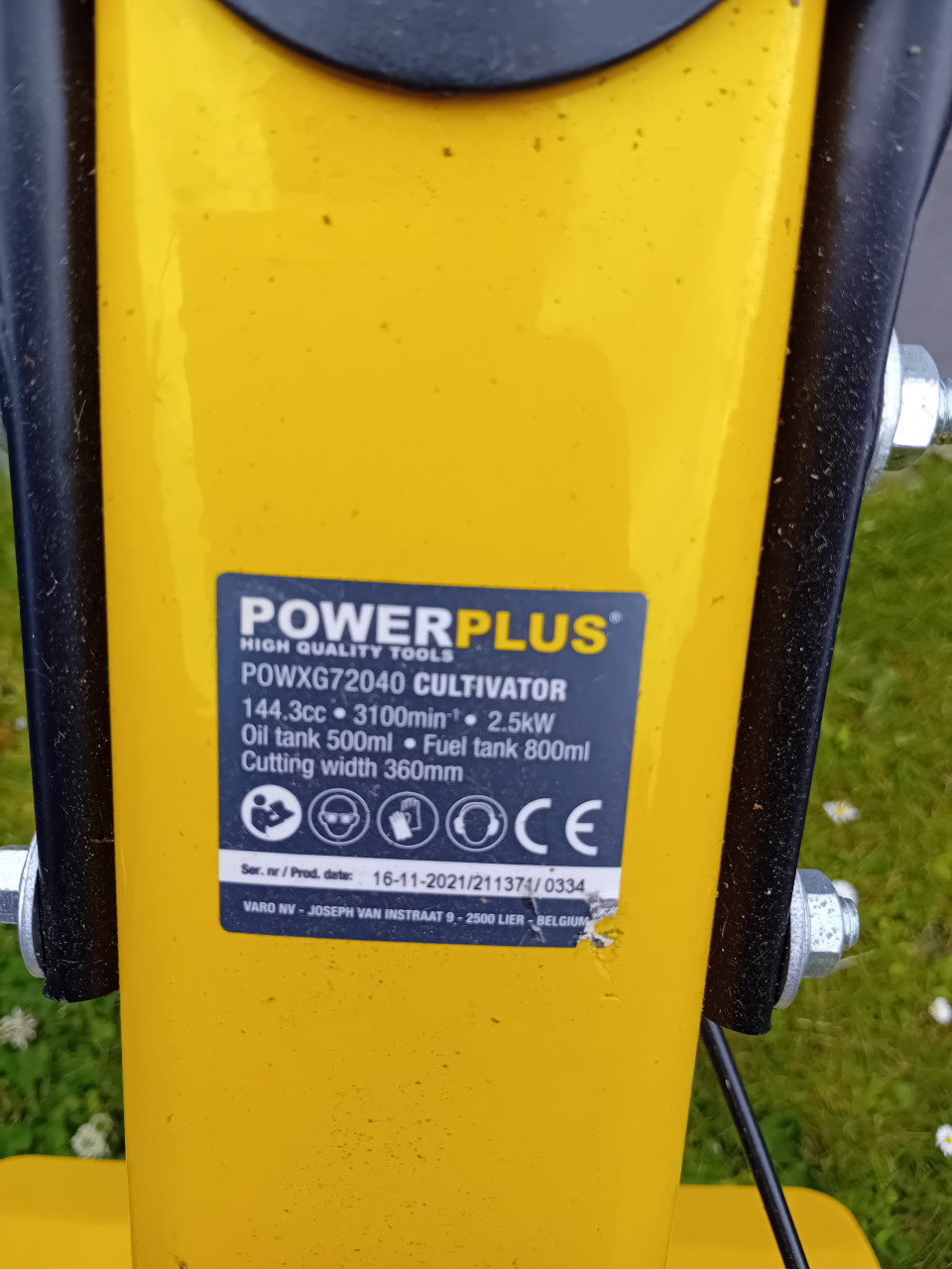 Tuinfrees