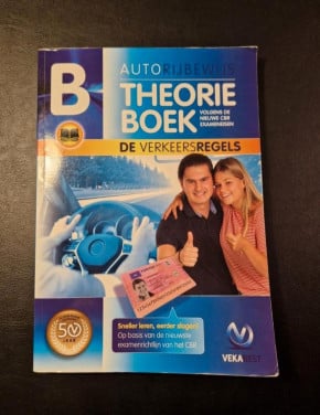 Auto theorie boek