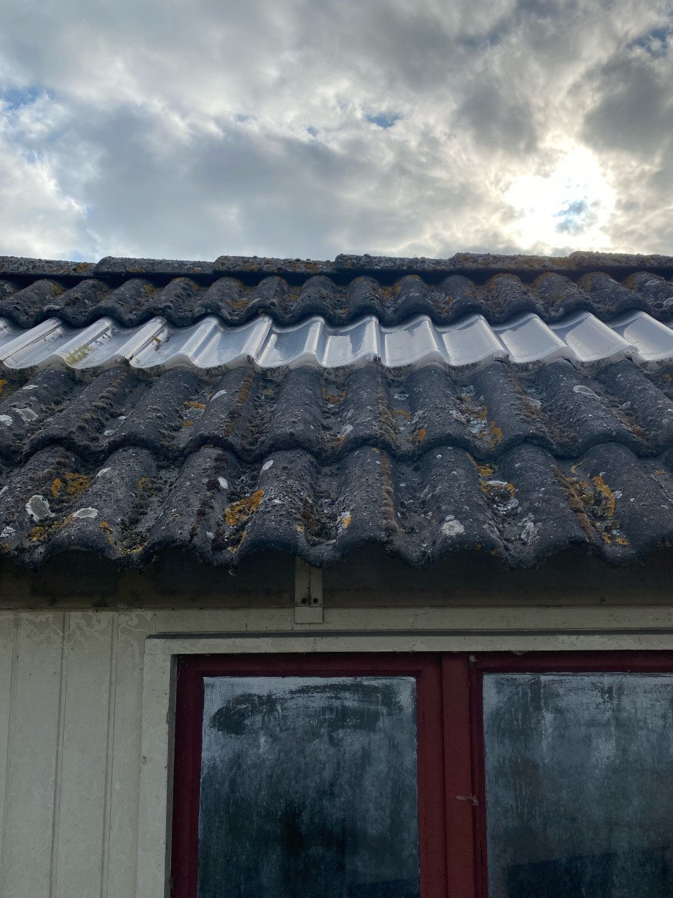 Sneldek dakpannen duivenhok