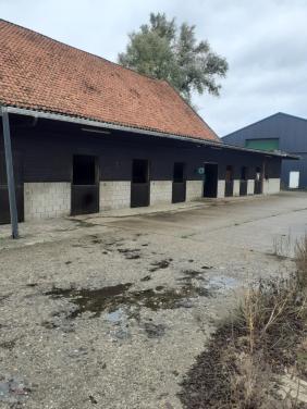 Plaats voor een shetlander