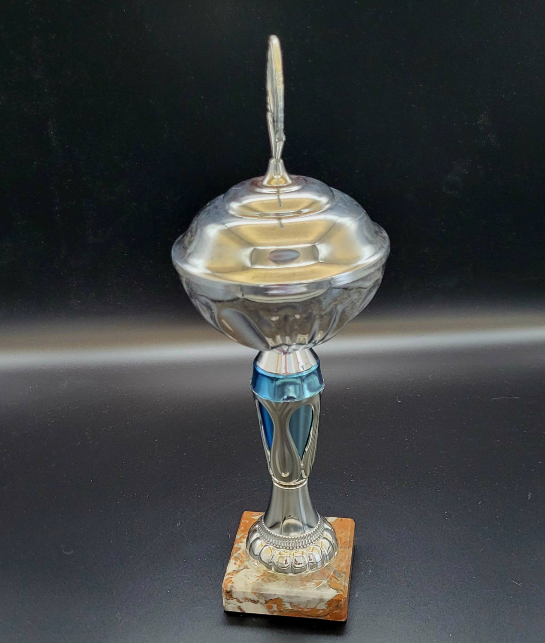 Mooi origineel vaderdag cadeau: De beste PAPA van de wereld Trofee