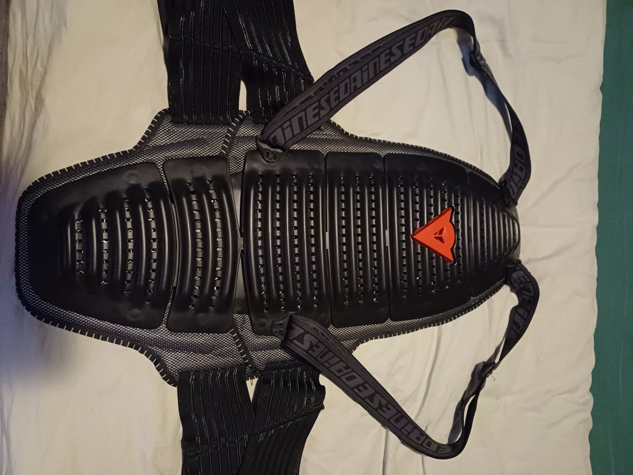Dainese D1 wave air.4 rugprotector