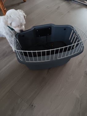 Te koop Hondenfietsmand voor
