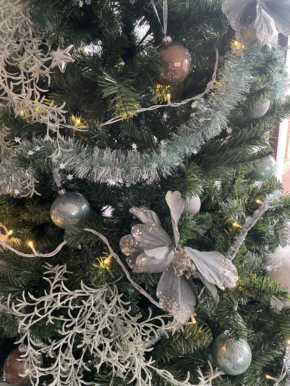 Kerstboom