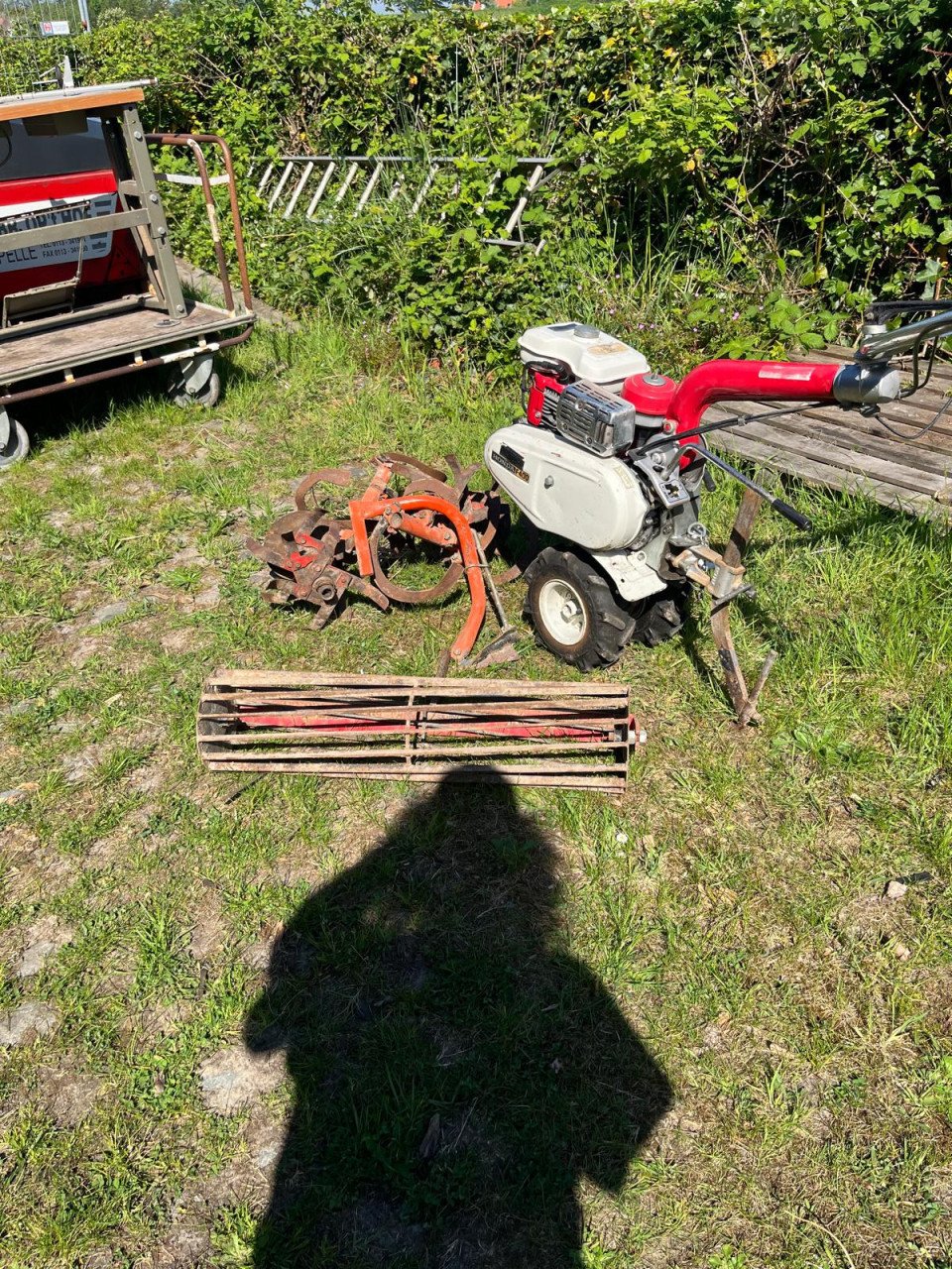 Tuinfrees